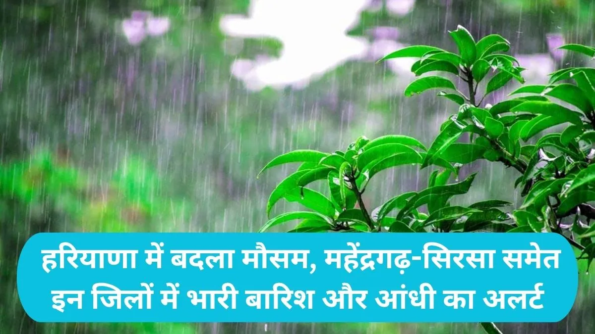 Haryana Weather Update: हरियाणा में बदला मौसम, महेंद्रगढ़-सिरसा समेत इन जिलों में भारी बारिश और आंधी का अलर्ट