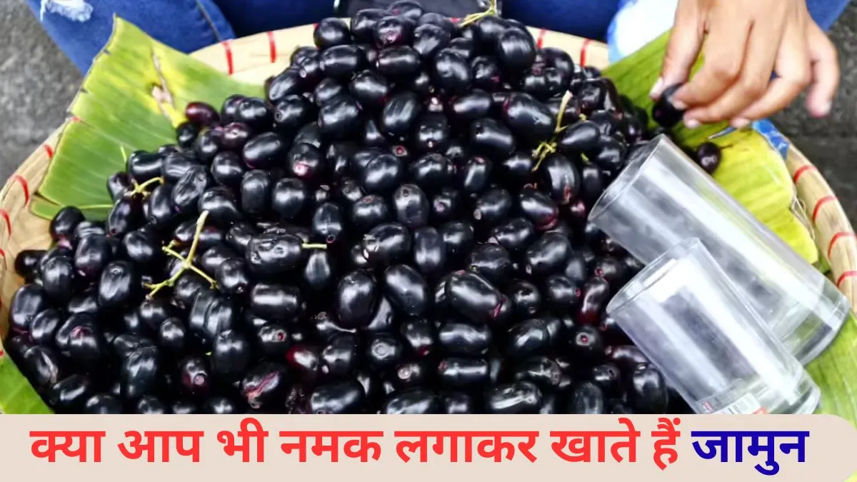 Best Time to Eat Jamun: Diabetes में रामबाण है जामुन, लेकिन एक दिन में कितने पीस खाना है सुरक्षित? नोट कर लें ये जरूरी गाइड