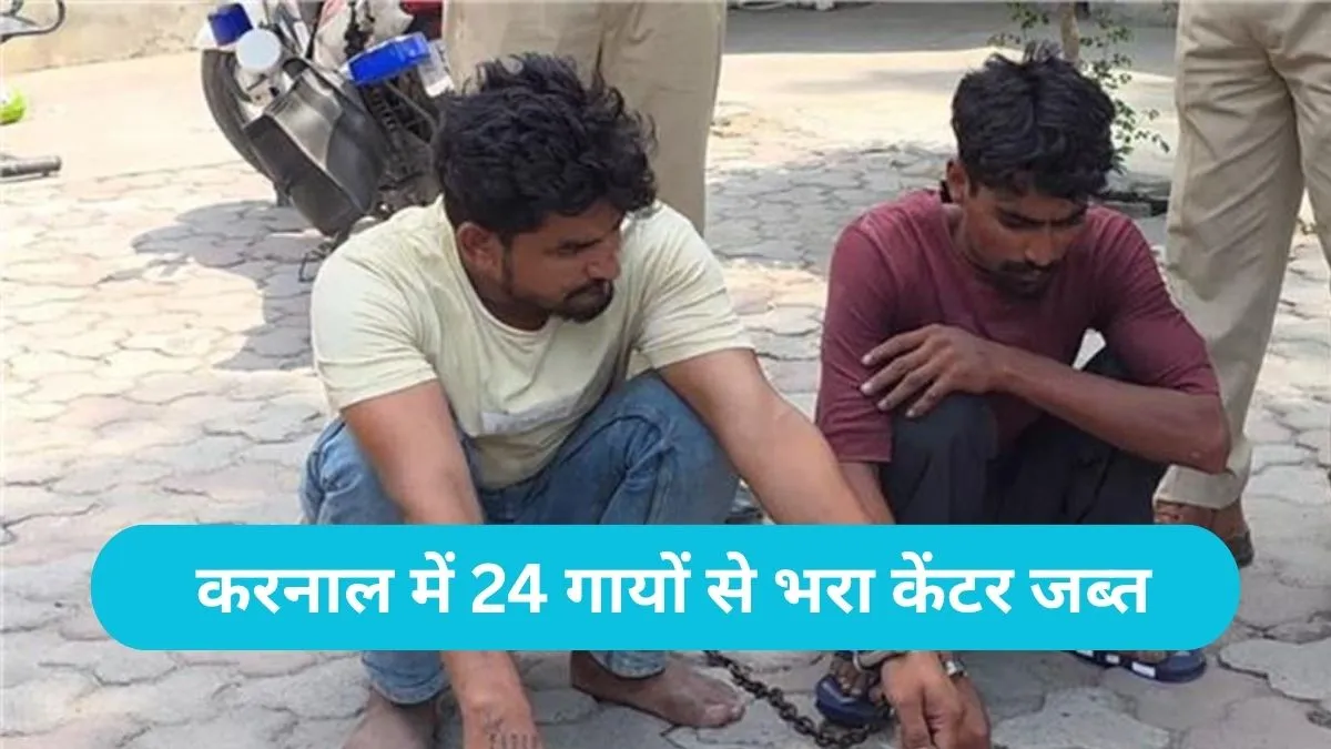 Karnal Police Action: करनाल में 24 गायों से भरा केंटर जब्त, पंजाब के दो बड़े गो-तस्कर गिरफ्तार
