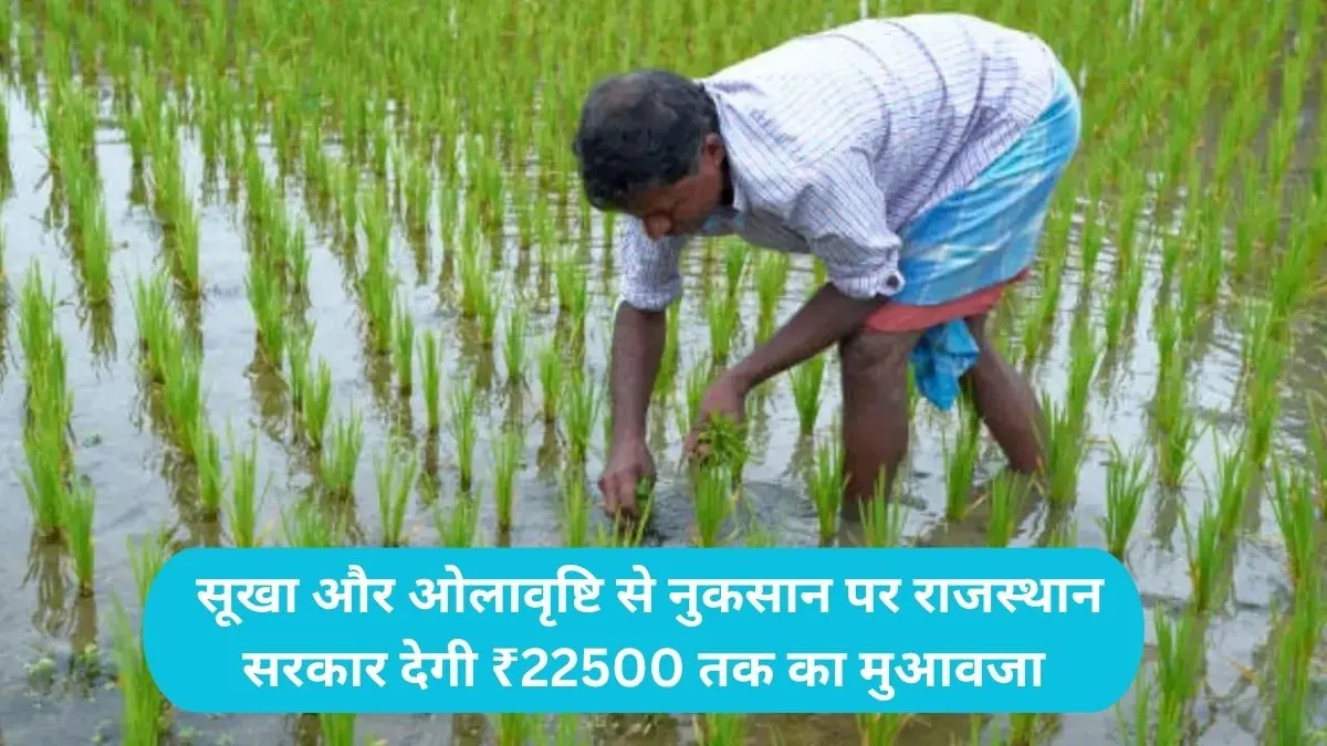 Krishi Adan Anudan Yojana: सूखा और ओलावृष्टि से नुकसान पर राजस्थान सरकार देगी ₹22500 तक का मुआवजा