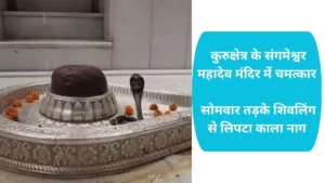Kurukshetra News: कुरुक्षेत्र के संगमेश्वर महादेव मंदिर में चमत्कार, सोमवार तड़के शिवलिंग से लिपटा काला नाग
