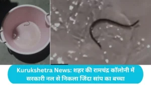 Kurukshetra News: शहर की रामचंद्र कॉलोनी में सनसनी: सरकारी नल से निकला जिंदा सांप का बच्चा, दहशत में आए लोग