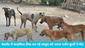 फरीदाबाद में बेसमेंट में साइकिल ठीक कर रहे मासूम को आधा दर्जन कुत्तों ने घेरा, अस्पताल में होगा ऑपरेशन