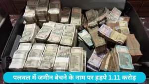 Palwal Land Fraud News: दिल्ली के बिजनेसमैन से 1.11 करोड़ की ठगी, विवादित जमीन बेचकर फरार हुए 5 आरोपी