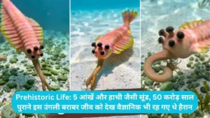 Prehistoric Life: 5 आंखें और हाथी जैसी सूंड, 50 करोड़ साल पुराने इस उंगली बराबर जीव को देख वैज्ञानिक भी रह गए थे हैरान