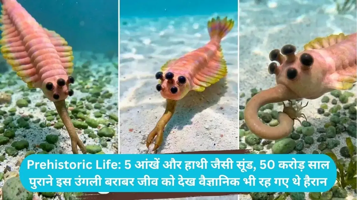 Prehistoric Life: 5 आंखें और हाथी जैसी सूंड, 50 करोड़ साल पुराने इस उंगली बराबर जीव को देख वैज्ञानिक भी रह गए थे हैरान