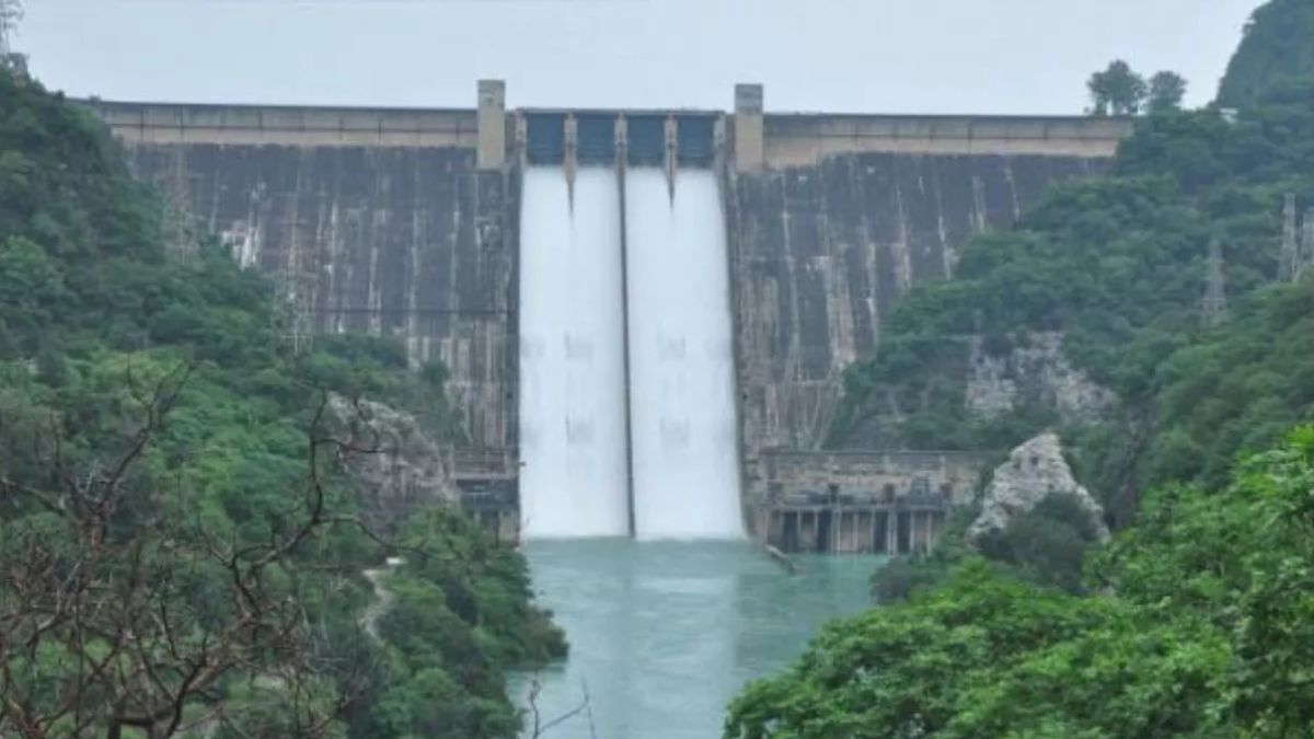 Punjab News: भाखड़ा डैम को लेकर राहत भरी खबर, जलस्तर अब सुरक्षित स्तर पर, BBMB ने जारी किया अपडेट