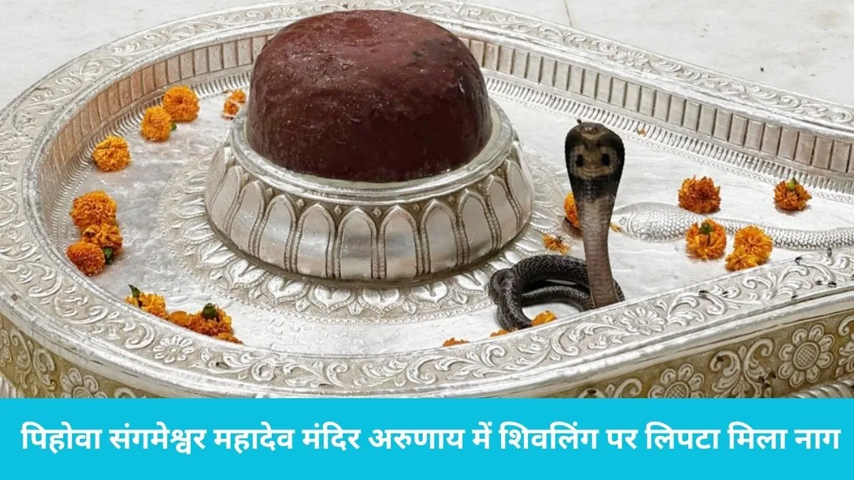 Snake on Shivling Pehowa: पिहोवा के अरुणाय मंदिर में साक्षात चमत्कार! शिवलिंग पर फन फैलाए लिपटा मिला नाग, दर्शन को उमड़े हजारों भक्त