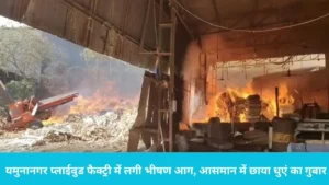 Yamunanagar Plywood Factory Fire: यमुनानगर में पांसरा की प्लाईवुड फैक्ट्री में लगी भीषण आग, आसमान में छाया धुएं का गुबार
