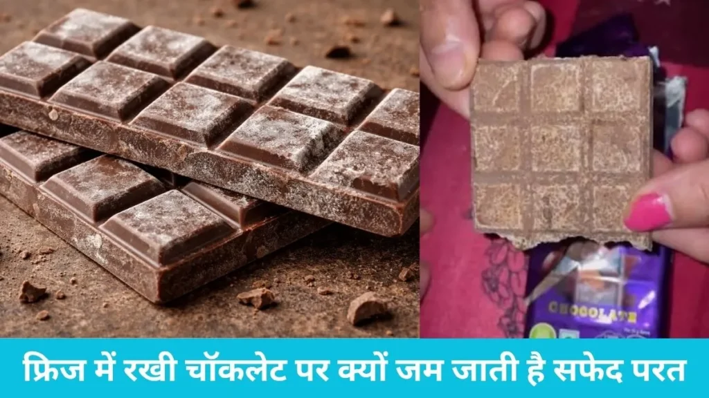 Chocolate White Layer in Fridge: फ्रिज में रखी चॉकलेट पर क्यों जम जाती है सफेद परत? फेंकने से पहले जान लें एक्सपर्ट्स की यह राय