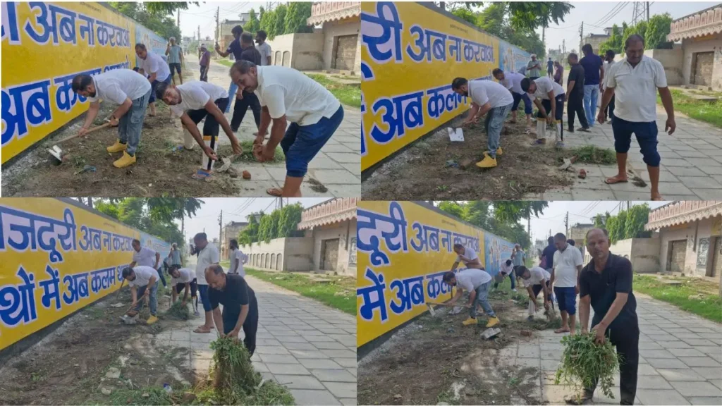 Dhand-Kaul Village: ढांड के गांव कौल में जिला परिषद चेयरमैन ने उठाई झाड़ू, स्वच्छता के लिए किया बड़ा आह्वान
