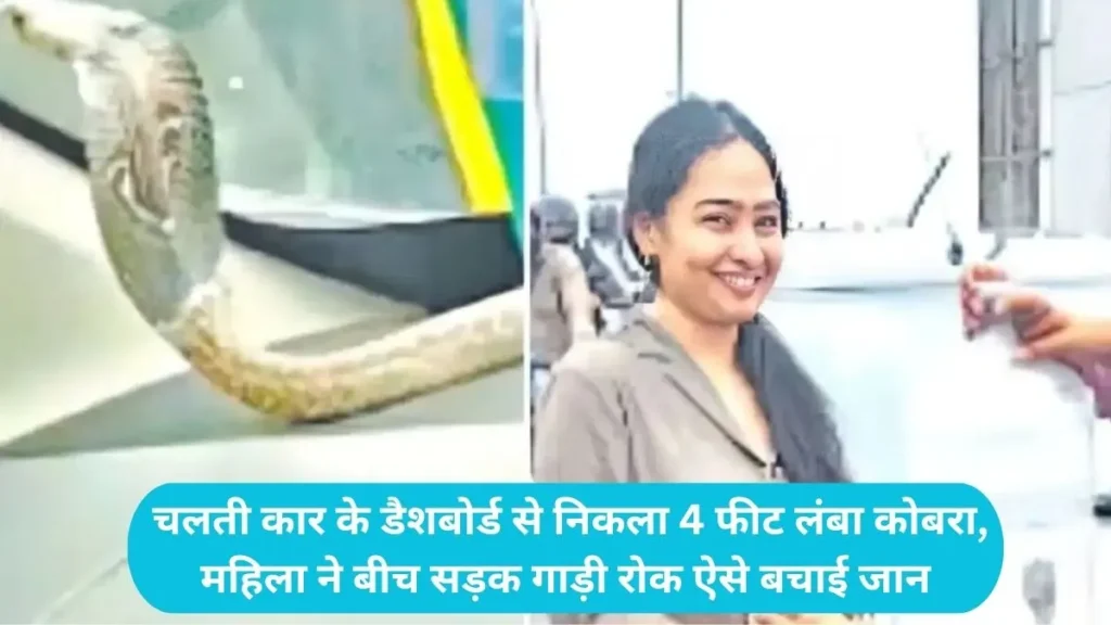 Ghaziabad Car Snake: चलती कार के डैशबोर्ड से निकला 4 फीट लंबा कोबरा, महिला ने बीच सड़क गाड़ी रोक ऐसे बचाई जान