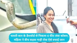Ghaziabad Car Snake: चलती कार के डैशबोर्ड से निकला 4 फीट लंबा कोबरा, महिला ने बीच सड़क गाड़ी रोक ऐसे बचाई जान