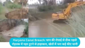 Haryana Canal Breach: धान की रोपाई से ठीक पहले रोहतक में नहर टूटने से हाहाकार, खेतों में भरा कई फीट पानी