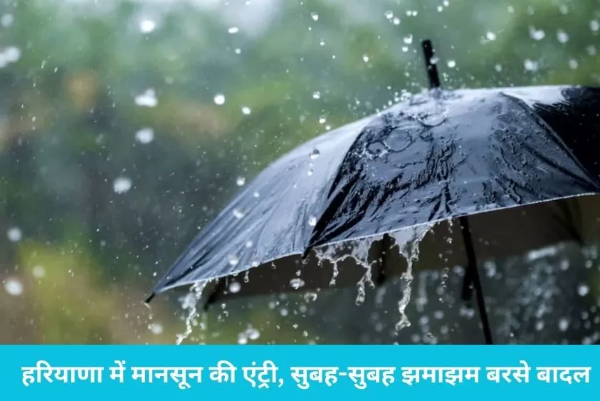 Haryana Weather: हरियाणा में मानसून की धमाकेदार एंट्री, इन जिलों में भारी बारिश का अलर्ट