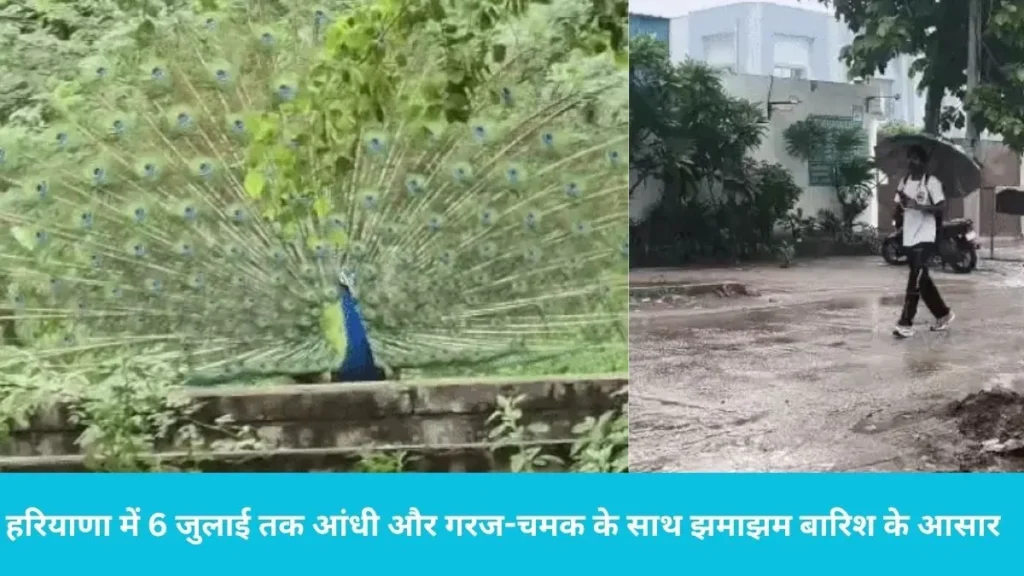 Haryana weather: हरियाणा में प्री-मानसून की दस्तक, सोनीपत-पानीपत में बारिश, जानें आपके शहर में कब पहुंचेगा मानसून