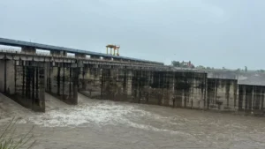 Hathnikund Barrage: शुक्रवार रात 47 हजार क्यूसेक पहुंचने के बाद शनिवार सुबह घटा पानी, हथिनीकुंड बैराज का ताजा अपडेट देखें