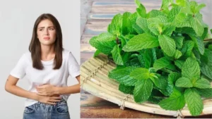 Health Tips: केवल स्वाद नहीं, औषधीय गुणों की खान है पुदीना; जानें गर्मियों में इसके बेमिसाल फायदे