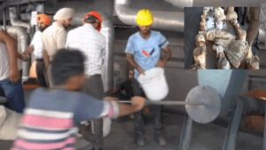 Heroin Seized Punjab: अमृतसर में 280 ड्रग केसों का जब्त नशा नष्ट, CP बोले- ड्रोन तस्करी सबसे बड़ी चुनौती