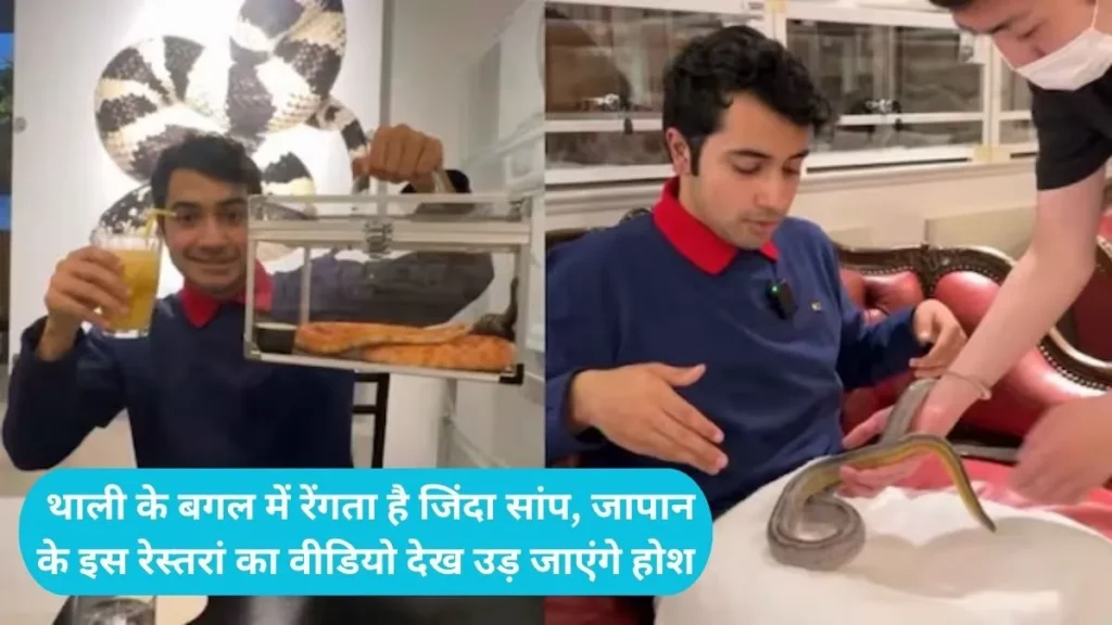 Japan Snake Cafe: थाली के बगल में रेंगता है जिंदा सांप, जापान के इस रेस्तरां का वीडियो देख उड़ जाएंगे होश