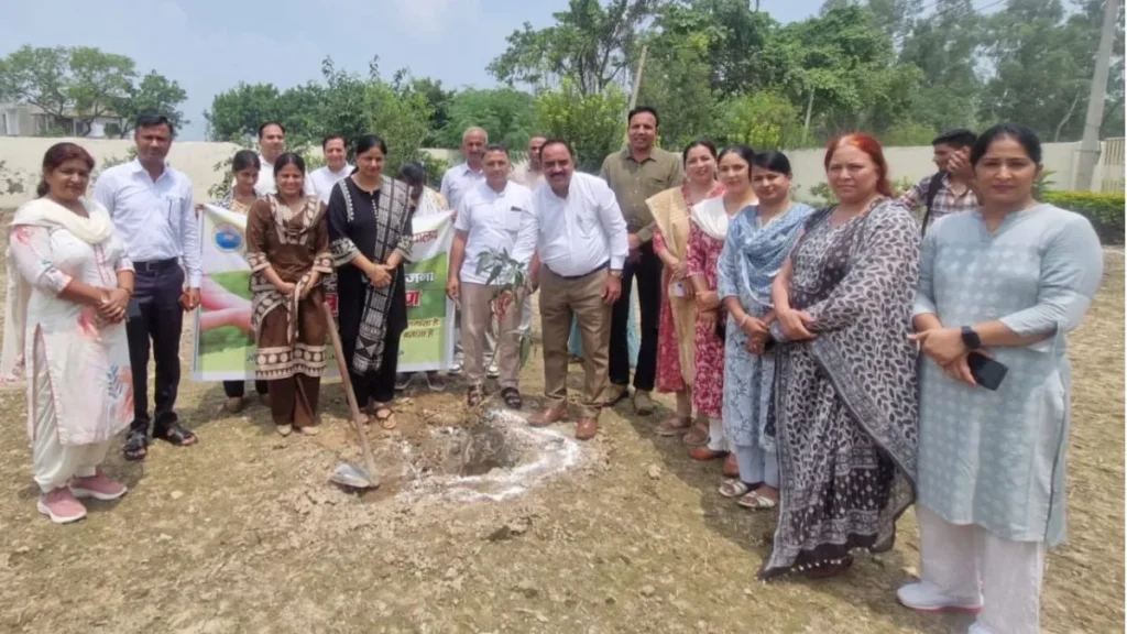 Kaithal Kaul College: 'एक पौधा, एक उम्मीद': कौल कॉलेज में 7 दिनों में रोपे गए 765 पौधे, NSS वॉलिंटियर्स ने लिया बड़ा संकल्प