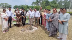 Kaithal Kaul College: 'एक पौधा, एक उम्मीद': कौल कॉलेज में 7 दिनों में रोपे गए 765 पौधे, NSS वॉलिंटियर्स ने लिया बड़ा संकल्प