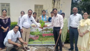 Dhand News: बाबू अनन्त राम जनता कॉलेज में 'एक पेड़ माँ के नाम' अभियान, रोपे गए औषधीय और फलदार पौधे