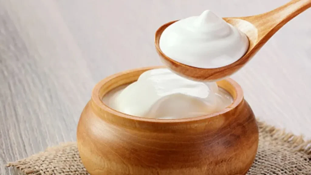 Keep Curd Fresh Monsoon: मानसून में बार-बार खट्टा हो जाता है दही? आज ही सुधारें ये 5 आम गलतियां