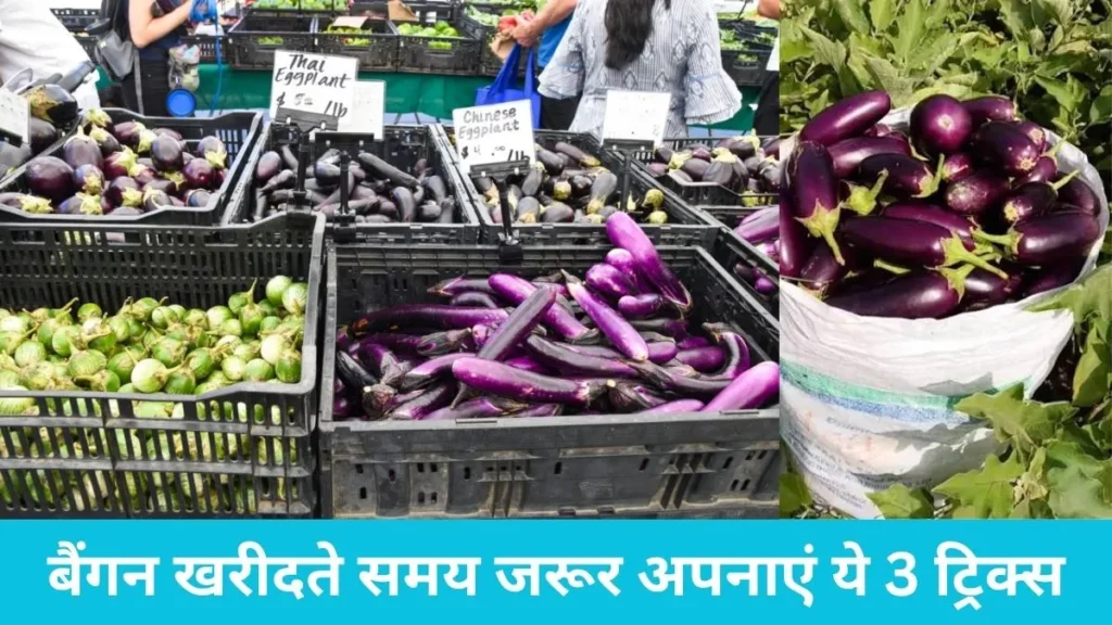 Kitchen Hacks: बाजार से बैंगन खरीदते समय जरूर अपनाएं ये 3 ट्रिक्स, कभी नहीं निकलेंगे अंदर से कीड़े
