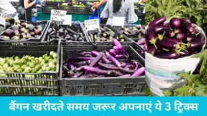 Kitchen Hacks: बाजार से बैंगन खरीदते समय जरूर अपनाएं ये 3 ट्रिक्स, कभी नहीं निकलेंगे अंदर से कीड़े