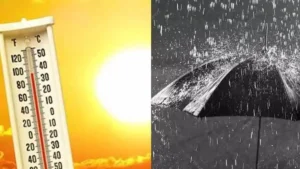 Kurukshetra Weather: बारिश के बाद बढ़ी उमस और तपिश, धान की फसल पर संकट से किसान परेशान