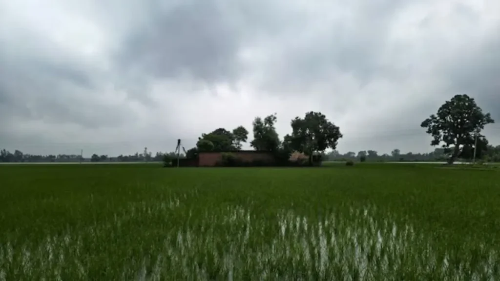 Kurukshetra News: बारिश की आंशका के बीच दिनभर मौसम रहा सुहावना, आज बारिश की संभावना