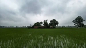 Kurukshetra News: बारिश की आंशका के बीच दिनभर मौसम रहा सुहावना, आज बारिश की संभावना