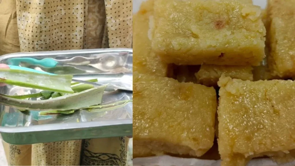 LUVAS Hisar: हिसार के LUVAS की नई खोज: आ गई स्वाद और सेहत से भरपूर एलोवेरा बर्फी, जानें क्या है इसकी खासियत