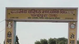 Mandi Ateli News: 1962 के शहीद रोहतास सिंह के नाम से जाना जाएगा चंदपुरा का सरकारी स्कूल, बेटे ने 3 साल लड़ी कानूनी जंग