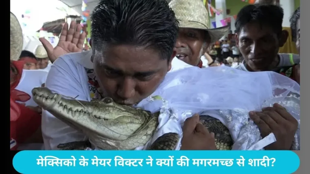 Mexico Mayor Marries Crocodile: मेक्सिको के मेयर ने मगरमच्छ से रचाई शादी, सफेद गाउन पहनाकर कैमरे के सामने किया किस