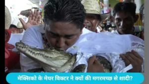 Mexico Mayor Marries Crocodile: मेक्सिको के मेयर ने मगरमच्छ से रचाई शादी, सफेद गाउन पहनाकर कैमरे के सामने किया किस