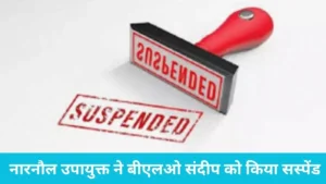 Narnaul BLO Suspended: चुनाव ड्यूटी में कामचोरी पड़ी भारी, नारनौल उपायुक्त ने बीएलओ संदीप को किया सस्पेंड