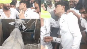 Narnaul Cattle Theft: नारनौल में मवेशी चोरों पर ग्रामीणों का फूटा गुस्सा, पीछा कर 3 आरोपियों को पिकअप समेत दबोचा