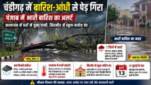 Punjab Weather Update: चंडीगढ़ में बारिश के बीच पूरे पंजाब के में भारी बारिश का अलर्ट, सेक्टर-39 में पेड़ गिरने से सड़क बंद