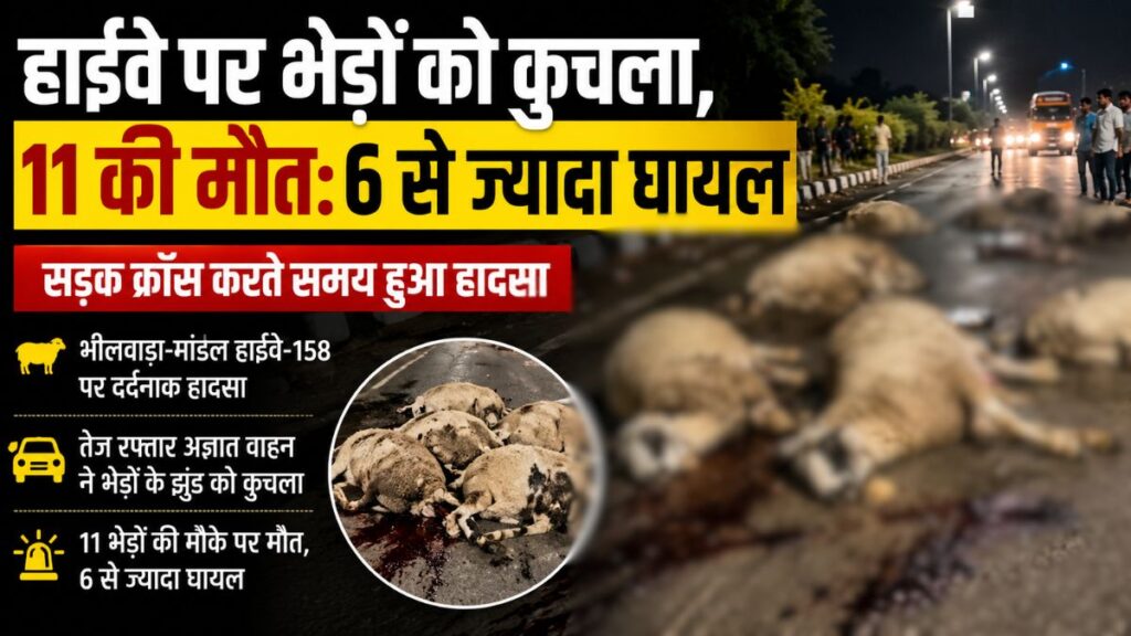 Rajasthan News: भीलवाड़ा हाईवे पर सड़क पार कर रहे भेड़ों के झुंड को अज्ञात वाहन ने कुचला, 11 की मौत, 6 से ज्यादा घायल