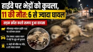 Rajasthan News: भीलवाड़ा हाईवे पर सड़क पार कर रहे भेड़ों के झुंड को अज्ञात वाहन ने कुचला, 11 की मौत, 6 से ज्यादा घायल