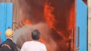 Rewari News: रेवाड़ी में प्लाइवुड शोरूम में भड़की आग, सोते हुए 5 मजदूरों ने भागकर बचाई जान