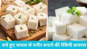 Rice Paneer Viral Recipe: बचे हुए चावल से पनीर बनाने की रेसिपी वायरल, जानें क्या है इस दावे का सच
