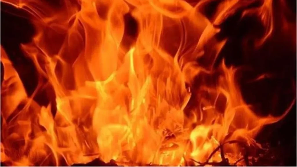 Rohtak News: रोहतक में सरपंच के घर आधी रात को भड़की भीषण आग, दम घुटा तो खुली आंख, ऐसे बची परिवार की जान