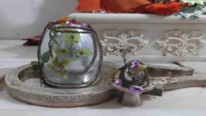 Sawan News: सावन में घर पर रुद्राभिषेक करने से पहले जानें ये जरूरी नियम, मिलेगा महादेव का आशीर्वाद