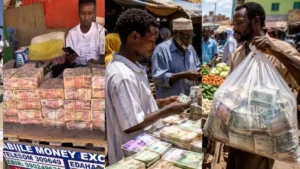 Somaliland Money Market: यहां बोरे में नोट भरकर सब्जी खरीदने जाते हैं लोग, सोमालीलैंड के 'नोटों के बाजार' की हैरान करने वाली कहानी