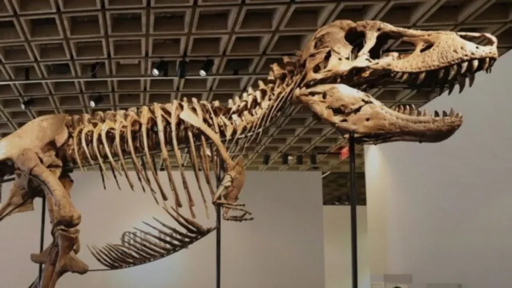 T-Rex Fossil Auction: 483 करोड़ रुपये में बिका 67 मिलियन साल पुराना डायनासोर का कंकाल, बना दुनिया का सबसे महंगा फॉसिल
