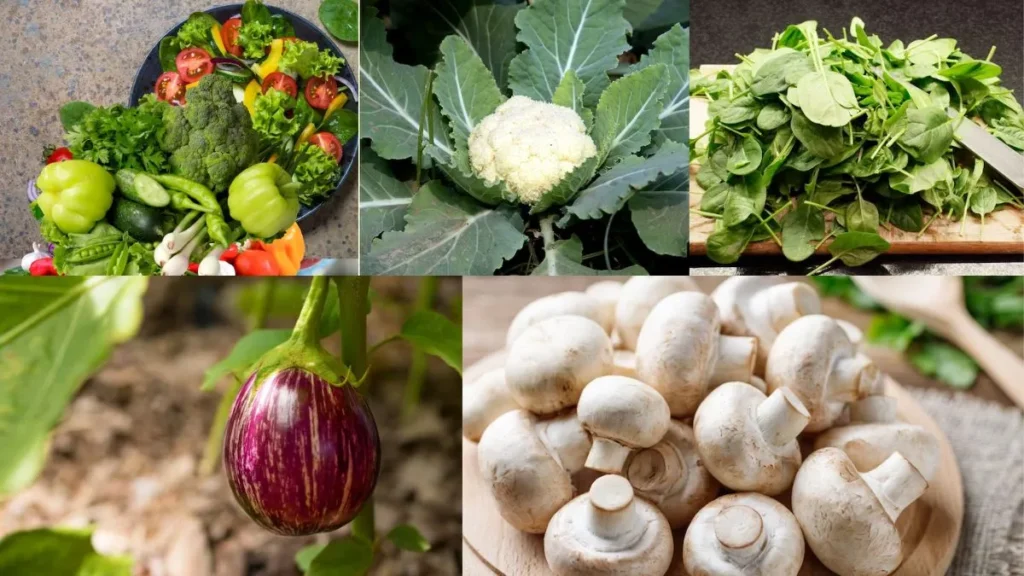 Monsoon Diet Tips: बारिश के मौसम में गलती से भी न खाएं ये 5 सब्जियां, पेट में हो सकता है गंभीर इन्फेक्शन