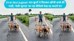 Viral desi jugaad: चार कुत्तों ने मिलकर खींची बच्चे की गाड़ी, 'देसी जुगाड़' का यह वीडियो देख रह जाएंगे दंग